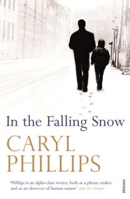 In the Falling Snow, Caryl Phillips - Ebook - 9781409088073