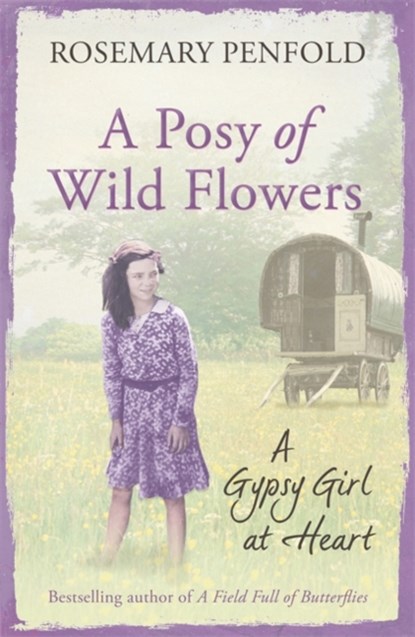 A Posy of Wild Flowers, Rosemary Penfold - Paperback - 9781409138372