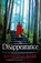 The Disappearance, Katherine Webb - Paperback - 9781409148623