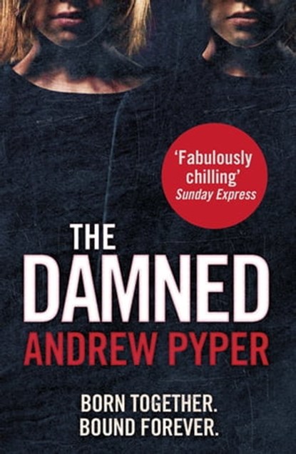 The Damned, Andrew Pyper - Ebook - 9781409149194
