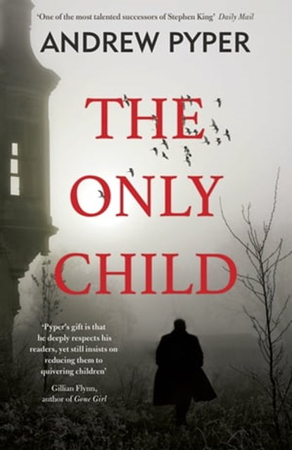 The Only Child, Andrew Pyper - Ebook - 9781409149224