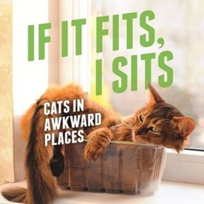 If It Fits, I Sits, Various - Ebook - 9781409160748
