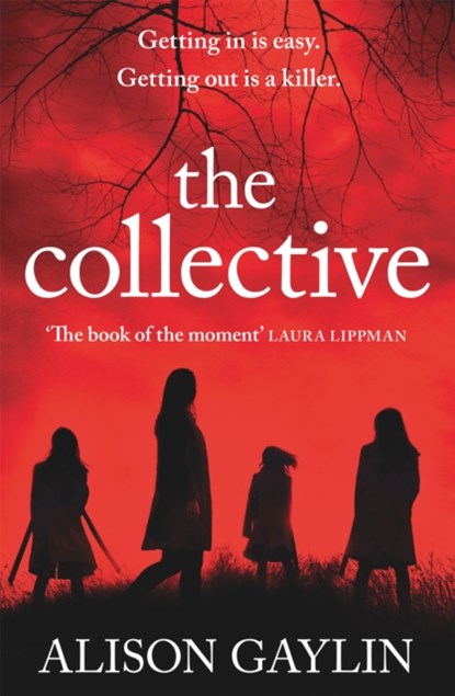 The Collective, Alison Gaylin - Paperback - 9781409179078