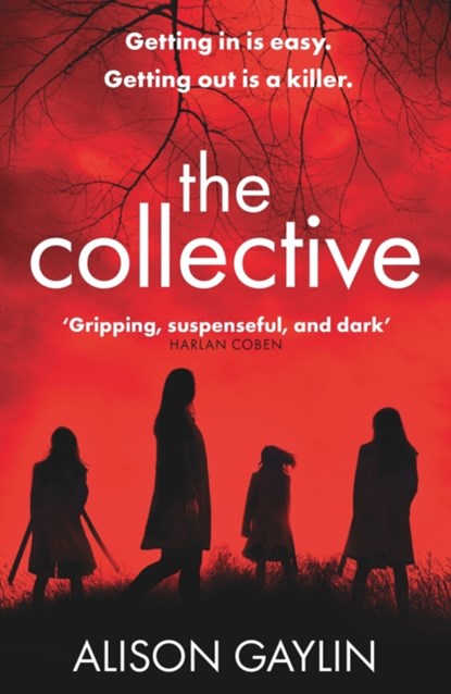 The Collective, Alison Gaylin - Paperback - 9781409179085