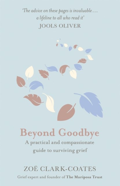 Beyond Goodbye, Zoe Clark-Coates - Paperback - 9781409185406