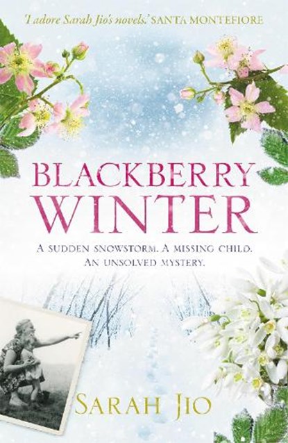 Blackberry Winter, Sarah Jio - Paperback - 9781409190776