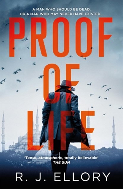 Proof of Life, R.J. Ellory - Paperback - 9781409198574