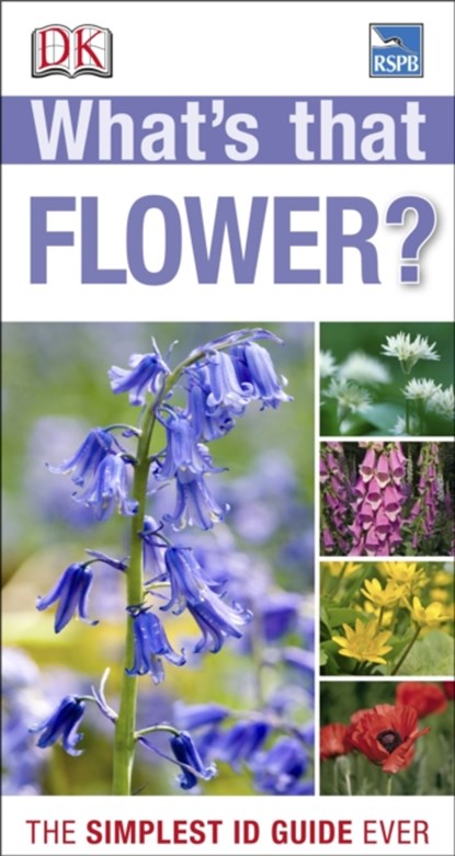 What's that Flower?, DK - Paperback - 9781409324416
