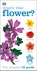 What's that Flower?, DK - Paperback - 9781409324416