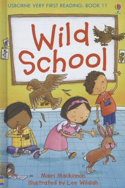 Wild School, Mairi Mackinnon - Gebonden - 9781409507130