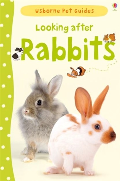 Looking after Rabbits, Fiona Patchett - Gebonden - 9781409532439