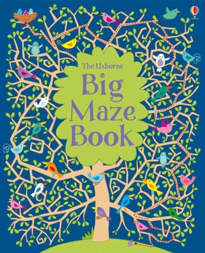 Big Maze Book, Kirsteen Robson - Paperback - 9781409532491