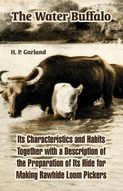 The Water Buffalo, H P Garland - Paperback - 9781410220585