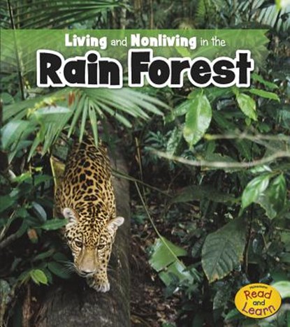 Living and Nonliving in the Rain Forest, Rebecca Rissman - Paperback - 9781410953896