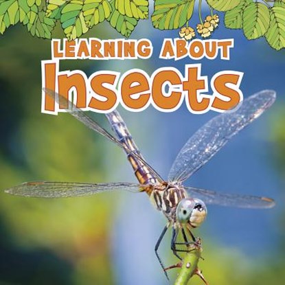 Learning about Insects, Catherine Veitch - Paperback - 9781410954084