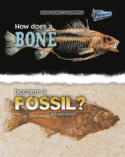 How Does a Bone Become a Fossil?, Melissa Stewart - Paperback - 9781410985293