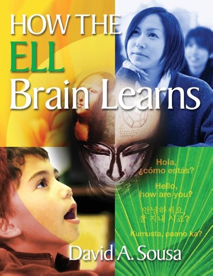 How the ELL Brain Learns, David A. Sousa - Paperback - 9781412988346