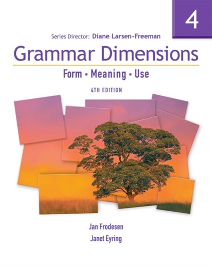 Grammar Dimensions 4, Diane Larsen-Freeman - Paperback - 9781413027525