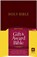 Gift and Award Bible-Nlt, Tyndale - Gebonden - 9781414302072