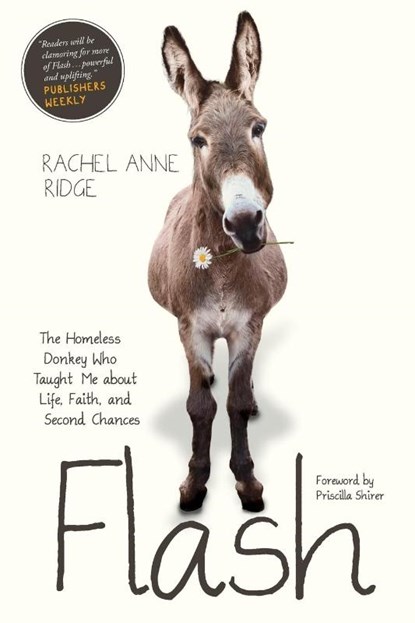 Flash, Rachel Anne Ridge - Paperback - 9781414397849