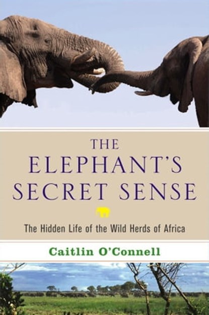 The Elephant's Secret Sense, Caitlin O'Connell - Ebook - 9781416539094