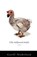 The Hollywood Dodo, Geoff Nicholson - Paperback - 9781416568155