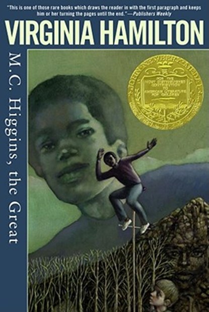 M.C. Higgins, the Great, Virginia Hamilton - Paperback - 9781416914075
