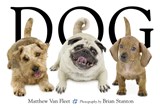 Dog - Matthew Van Fleet - 9781416941378