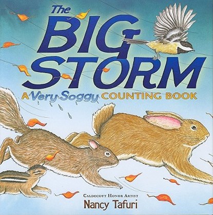 The Big Storm: A Very Soggy Counting Book, Nancy Tafuri - Gebonden - 9781416967958