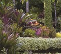 Secret Gardens | Allain, Yves-Marie ; Le Toquin, Alain | 