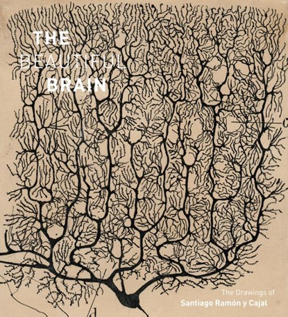 The Beautiful Brain, Larry Swanson ; Eric Newman ; Alfonso Araque - Gebonden Gebonden - 9781419722271