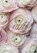 Paris in Bloom Notebook (Ranunculus), LANE,  Georgianna - Gebonden - 9781419726910