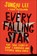 Every Falling Star, Sungju Lee ; Susan McClelland - Paperback - 9781419727610