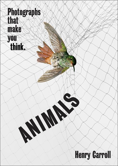 ANIMALS, Henry Carroll - Paperback - 9781419751462