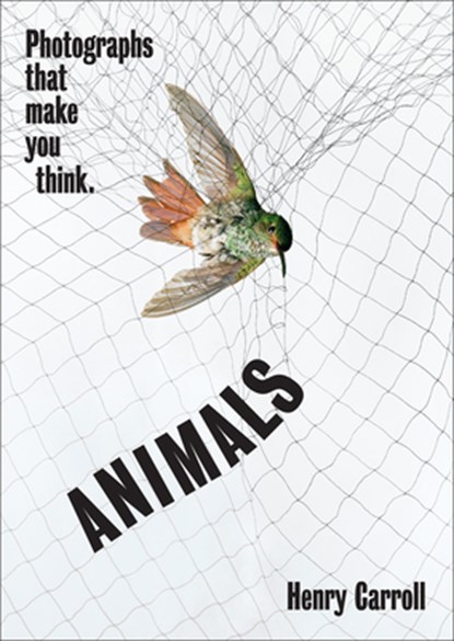 ANIMALS, Henry Carroll - Paperback - 9781419751462