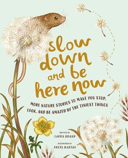 Slow Down and Be Here Now: More Nature Stories to Make You Stop, Look, and Be Amazed by the Tiniest Things, Laura Brand - Gebonden - 9781419765971