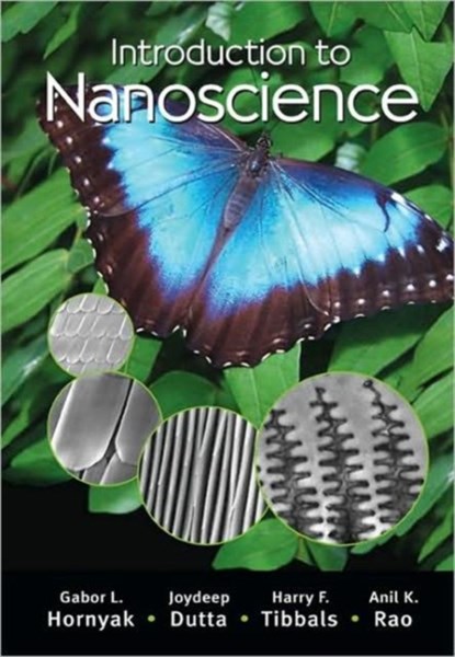 Hornyak, G: Introduction to Nanoscience, HORNYAK,  Gabor L. - Gebonden - 9781420048056