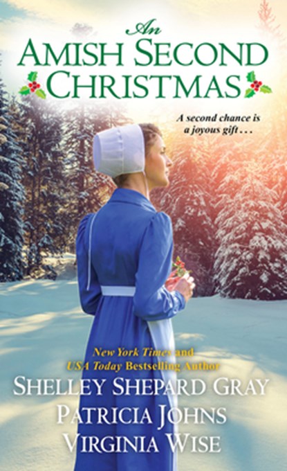 Amish Second Christmas, Shelley Shepard Gray - Paperback - 9781420147346