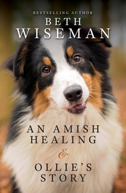 An Amish Healing & Ollie's Story, Beth Wiseman - Gebonden - 9781420520675