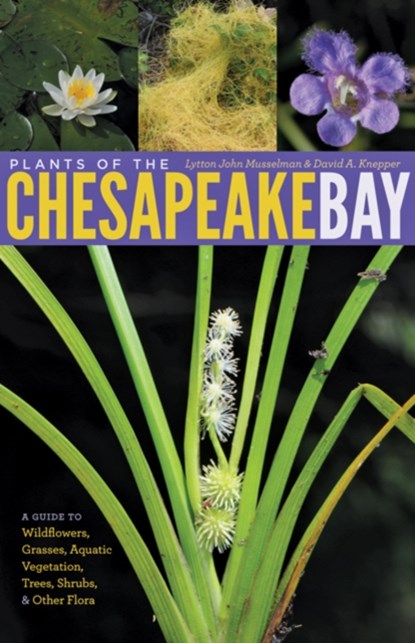 Plants of the Chesapeake Bay, LYTTON JOHN (MARY PAYNE HOGAN PROFESSOR OF BOTANY,  Old Dominion University) Musselman ; David A. (Environmental Scientist, Southern Virginia Regulatory System) Knepper - Gebonden - 9781421404974