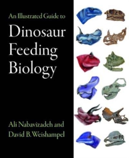 An Illustrated Guide to Dinosaur Feeding Biology, ALI (POSTDOCTORAL FELLOW,  University of Chicago School of Medicine) Nabavizadeh ; David B. (Johns Hopkins University School of Medicine) Weishampel - Gebonden - 9781421413532