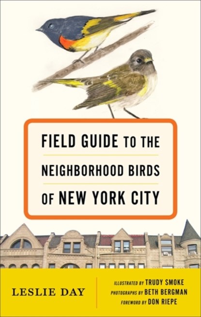 Field Guide to the Neighborhood Birds of New York City, Leslie Day ; Don Riepe - Paperback - 9781421416182