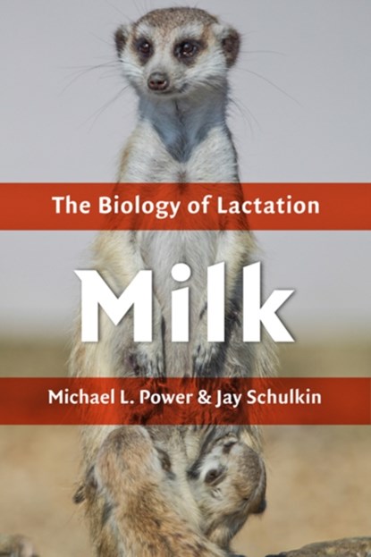 Milk, MICHAEL L. (SENIOR RESEARCH ASSOCIATE,  American Congress of Obstetricians and Gynecologists) Power ; Jay (Director, The American Congress of Obstetricians and Gynecologists) Schulkin - Gebonden - 9781421420424