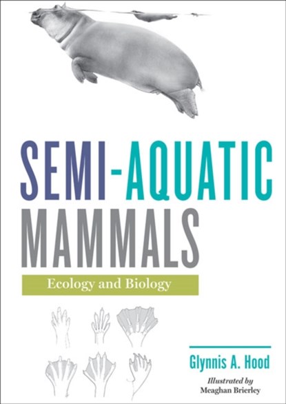 Semi-aquatic Mammals, Glynnis A. (Associate Professor Hood - Gebonden - 9781421438801