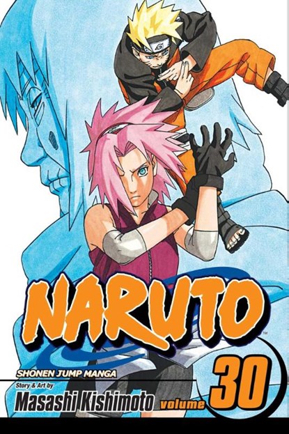 Naruto, Vol. 30, Masashi Kishimoto - Paperback - 9781421519425