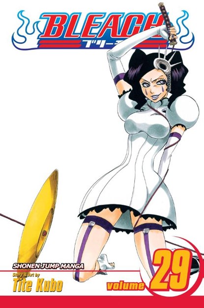 Bleach, Vol. 29, Tite Kubo - Paperback - 9781421523873