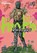 Dorohedoro, Vol. 9, Q-Hayashida - Paperback - 9781421533834