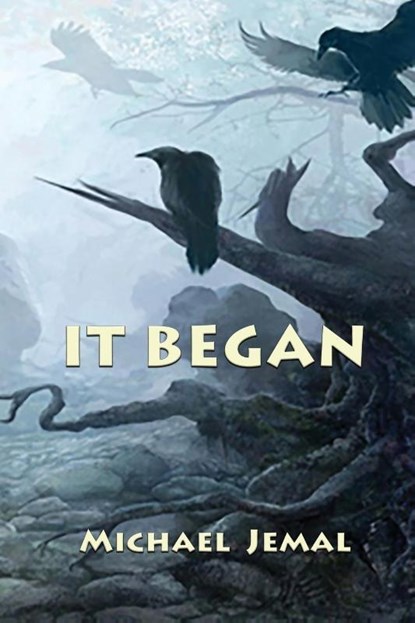 IT BEGAN, Michael Jemal - Paperback - 9781421835624