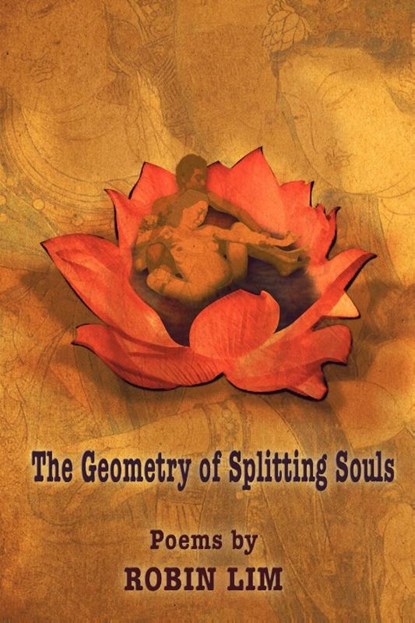 The Geometry of Splitting Souls, Robin Lim - Paperback - 9781421886343