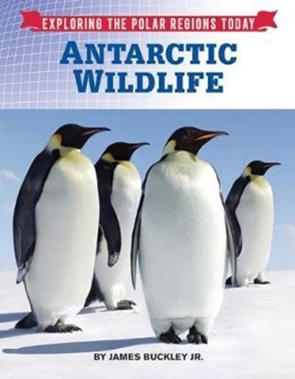 Antarctic Wildlife, James Buckley Jr. - Gebonden - 9781422238646